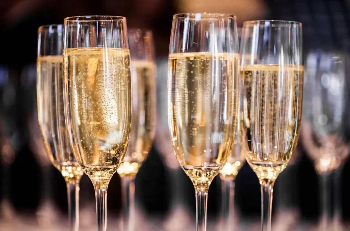 Flutes of sparkling wine lined up in a row